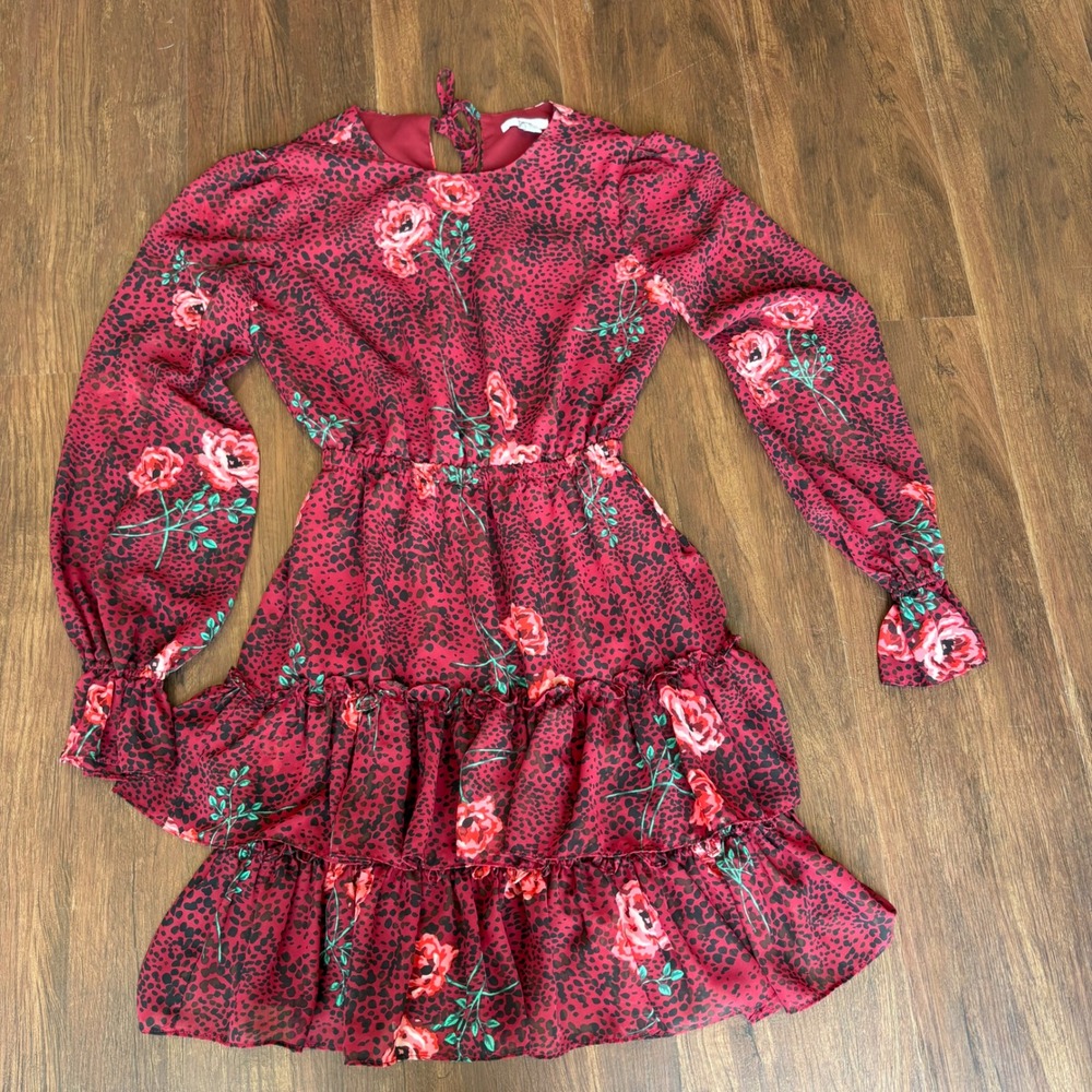 Burgundy Floral Cheetah Print Tiered Ruffle Mini Dress Sheer Long Sleeve XXS